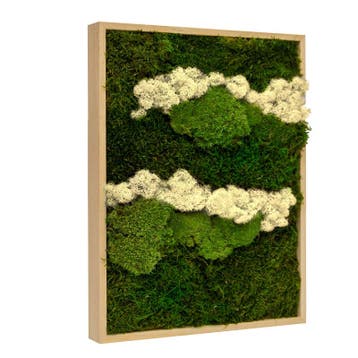 Vintlux Mosschilderij Lappenmos-Rendiermos-Bolmos 60x60 cm, Nieuw