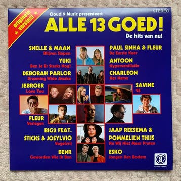 lp nieuw - Various - Alle 13 Goed!, Verzenden, Zo goed als nieuw, Overige formaten