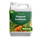 Papaja Vloeibare Meststof - 10 liter, Verzenden, Mest
