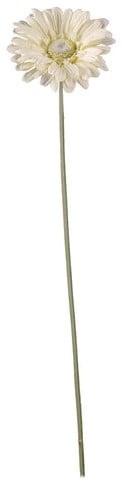 Gerbera 54 cm Creme Zijden bloemen / st, Ophalen of Verzenden, Nieuw