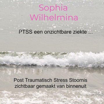 9789403641881 PTSS een onzichtbare ziekte ..., Boeken, Verzenden, Nieuw, Sophia Wilhelmina