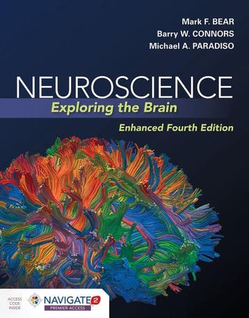 Neuroscience Exploring The Brain, Enhanced Edition, Boeken, Verzenden, Zo goed als nieuw, Mark F. Bear