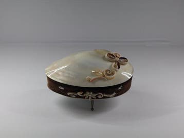 Kist - Schelp - Elegante sieradendoos