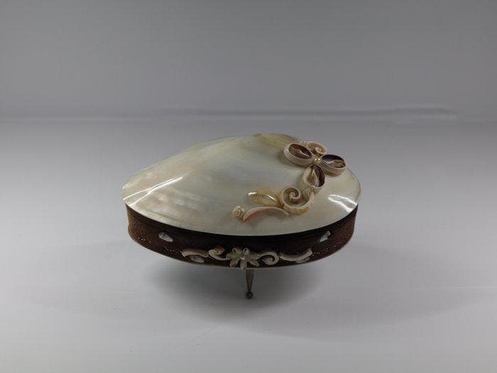 Kist - Schelp - Elegante sieradendoos, Antiek en Kunst, Curiosa en Brocante