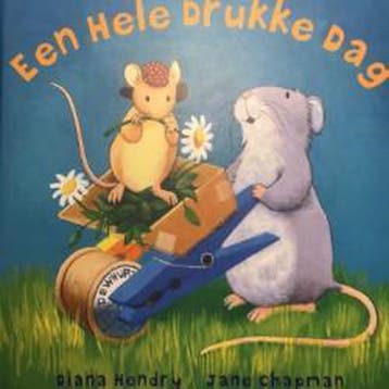 Een Hele Drukke Dag - Diana Hendry 9789045414447, Verzenden, Zo goed als nieuw, Diana Hendry