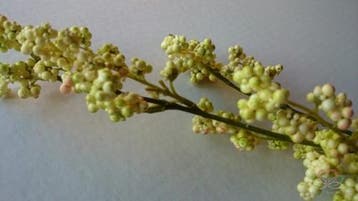 Bessenspray Perzik Kunstbloem per stuk, Huis en Inrichting, Woonaccessoires | Kunstplanten en Kunstbloemen, Ophalen of Verzenden