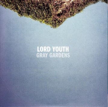 cd card - Lord Youth (PROMO) - Gray Gardens, Verzenden, Zo goed als nieuw, Pop
