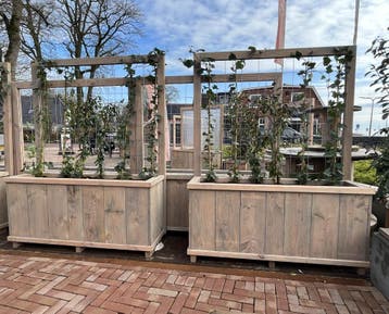 Douglas Bloembak met klimrek, Tuin en Terras, Nieuw, Hout, Balkon