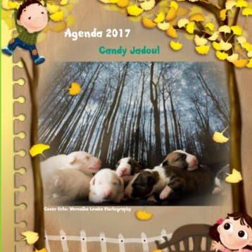 2017 | Candy Jadoul | Nieuw, Boeken, Ophalen of Verzenden, Nieuw, Candy Jadoul