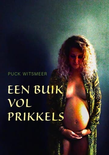 Een buik vol prikkels - Puck Witsmeer 9789493191013, Verzenden, Zo goed als nieuw, Puck Witsmeer
