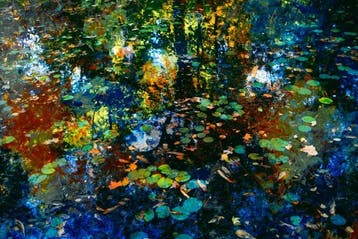 Viet Ha Tran - The breath of autumn (2018) - Framed