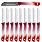 DKS Solingen Tomatenmes – Gekarteld RVS Lemmet – 19,5cm, Ophalen of Verzenden, Nieuw, Rvs of Chroom, Los bestek