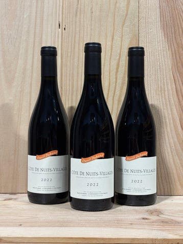 2022 David Duband - Côte de Nuits - 3 Flessen (0.75 liter), Nieuw