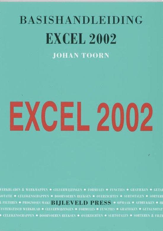 Basishandleiding Excel 2002 - Toorn, Boeken, Informatica en Computer, Gelezen, Verzenden
