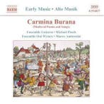 cd - Ensemble Unicorn - Carmina Burana, Cd's en Dvd's, Verzenden, Zo goed als nieuw