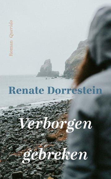 9789025320645 Verborgen gebreken Renate Dorrestein, Verzenden, Nieuw, Renate Dorrestein