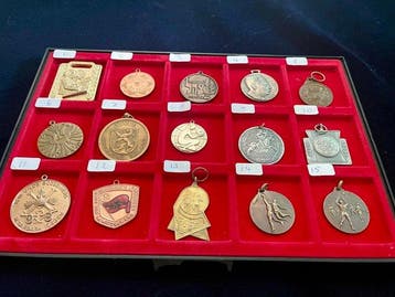 Lot van 15 diverse Medailles, herdenkingspenningen en