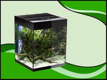 Aquael Glossy cube 50 zwart aquarium (Glossy aquarium serie), Verzenden, Nieuw