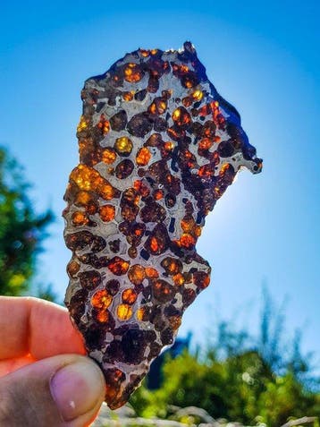 Pallasiet HQ Sericho pallasite - Hoogte: 12.4 cm - Breedte: