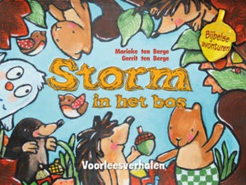 STORM IN HET BOS - Gerrit ten Berge 9789033831089, Verzenden, Gelezen, Gerrit ten Berge