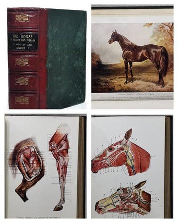 Prof. J. Wortley Axe - The Horse Its Treatment In Health And