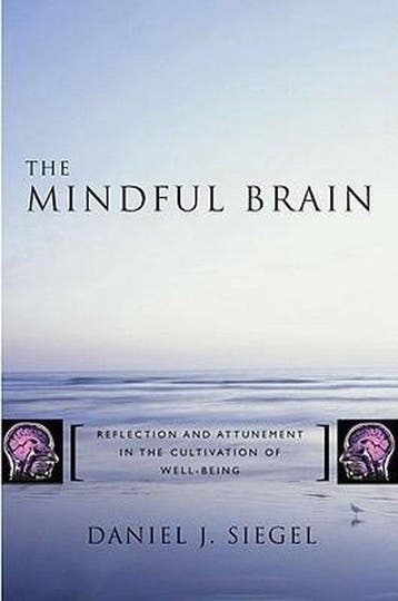 The Mindful Brain - Daniel J. Siegel 9780393704709, Boeken, Verzenden, Gelezen, Daniel J. Siegel