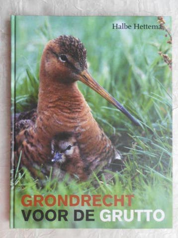 Grondrecht voor de grutto - H. HETTEMA 9789033011818, Boeken, Verzenden, Zo goed als nieuw, H. HETTEMA