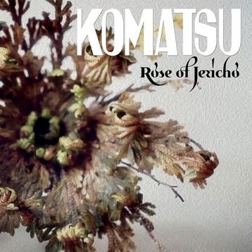 lp nieuw - komatsu - ROSE OF JERICHO (nieuw), Verzenden, Zo goed als nieuw, Overige formaten