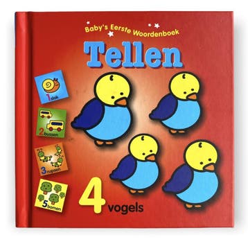Babys eerste woordenboek 9789463995917, Verzenden, Zo goed als nieuw