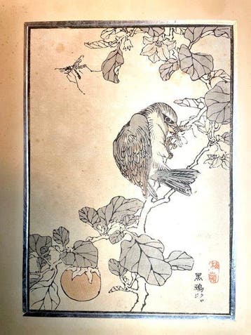 Oiseaux et insectes - école Keinen Imao (Meiji) - Japan