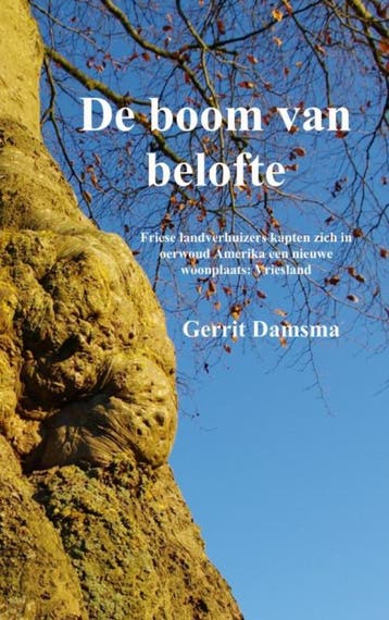 De boom van belofte - Gerrit Damsma 9789402157406, Verzenden, Zo goed als nieuw, Gerrit Damsma