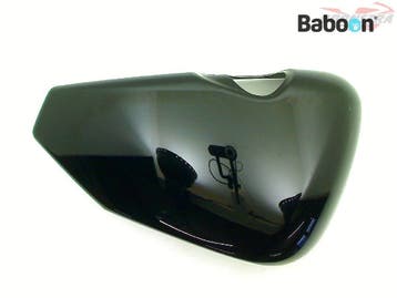 Buddypaneel Rechts Harley-Davidson XL 1200 Sportster, Verzenden, Gebruikt