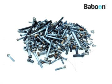 Bouten en Moeren BMW F 800 R 2009-2014 (F800R), Motoren, Onderdelen | BMW, Verzenden, Gebruikt