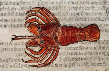 Conrad Gesner - Fischbuch - 1600
