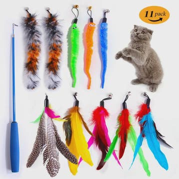 11-delige Katten Speelgoed Set met Veren en Intrekbare Henge, Verzenden, Nieuw