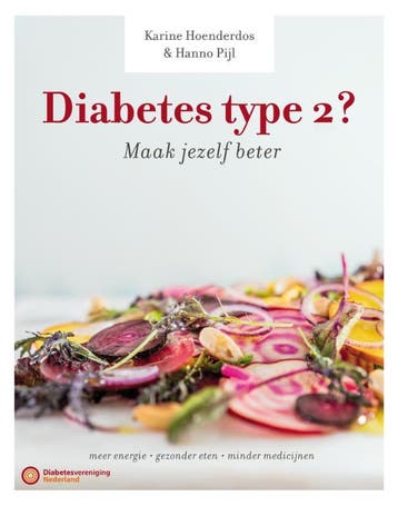 Diabetes type 2? - Karine Hoenderdos 9789059566651, Verzenden, Zo goed als nieuw, Karine Hoenderdos