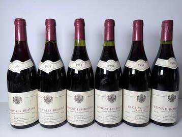 1994 x 2 , 1981 x 2 Paul Dumay Savigny les Beaune, 1994 Clos, Nieuw
