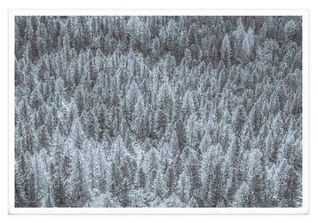 Fabio Accorrà - The white silence XXL