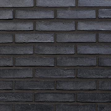 Waalformaat handvorm Eco Darian metselstenen, Verzenden, Nieuw, Bakstenen