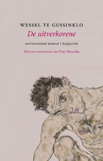De Uitverkorene | Wessel te Gussinklo | Nieuw, Boeken, Ophalen of Verzenden, Nieuw, Wessel te Gussinklo
