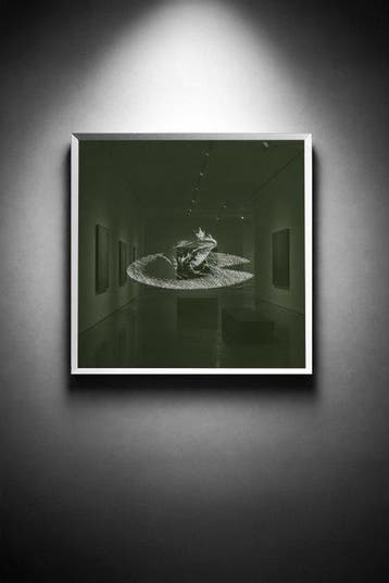 Tijs Dragtsma (1992) - A Crown Kept in the Green