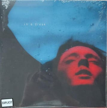 Troye Sivan - In A Dream, Ophalen of Verzenden, Gebruikt