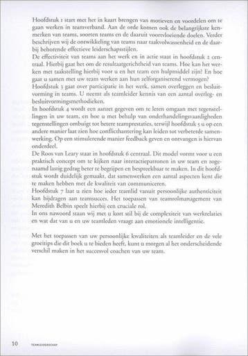 Professioneel leiderschap - Teamleiderschap, Ophalen of Verzenden, Nieuw