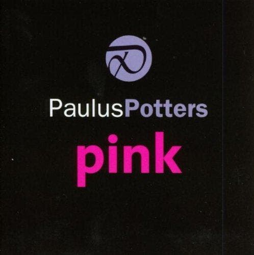 cd - Paulus Potters - Pink, Cd's en Dvd's, Cd's | Overige Cd's, Zo goed als nieuw, Verzenden