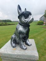 Beeld, funny dog with sunglasses in silver bronze color - 60, Antiek en Kunst