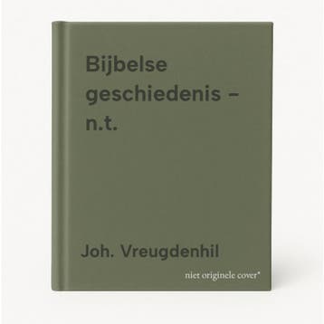 Bijbelse geschiedenis - n.t. - Joh. Vreugdenhil, Boeken, Verzenden, Gelezen, Joh. Vreugdenhil