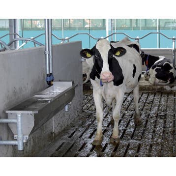 Drinkbak RVS Spinder Classic, muurbevestiging model 200, Dieren en Toebehoren