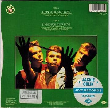 Single vinyl / 7 inch - Big Fun - Living For Your Love, Verzenden, Zo goed als nieuw, 7 inch, Pop