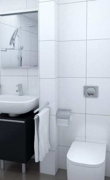 Te Huur 2 Kamer Appartement Reigerstraat In Dordrecht, Dordrecht, Direct bij eigenaar, Appartement, Zuid-Holland