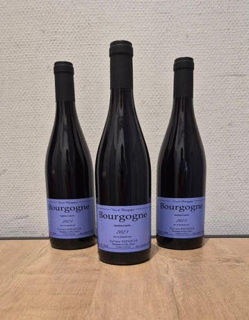 2023 Sylvain Pataille - Bourgondië - 3 Flessen (0.75 liter), Nieuw